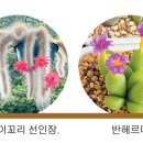 월촌농장 경남신문