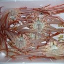 일출로민박 이미지