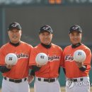 이글스 이미지