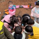 세움어린이집 이미지