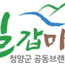 청양먹거리식품