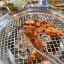 닭두꺼비 이미지