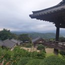 힐스템생활건강영주중앙 | 경상북도 영주 부석사 1박2일 여행가이드