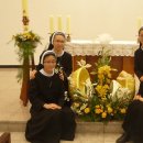 천주섭리수녀회 이미지