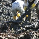 관음포연꽃마을협동조합 이미지