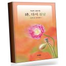 다시봄날 쇼핑하우