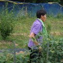 태선농장 이미지