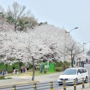 금릉역 버스정류장 이미지