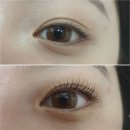 she's 뷰티