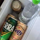 초리포레스트