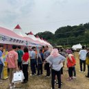 영광군보건소 더 한국타임즈
