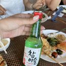고객사랑안경랜드 | 보홀 랜드투어 필수코스 🌊 로복강 점심·안경원숭이·초콜릿힐 후기