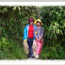 외연도5 이미지