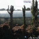 회수동-2 이미지