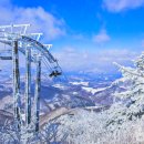 주)용평리조트 드래곤프라자 이미지