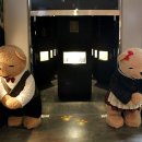 테지움사파리 이미지