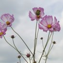 대우경로당 이미지