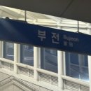 NR-4[옥천로]-하-437 | 나혼자 여름휴가 부산 출발 강릉 혼여 1박 2일 여행 🌊✨