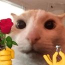 영신제2주유소 | 종로 14k 100만원대 웨딩반지 견적 할인 후기 영신쥬얼리, 오르테가, 밀알쥬얼리(계약O) + 지인할인코드