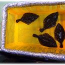 현대회센터 이미지