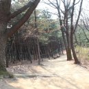 우면산3-27 이미지