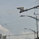 맥반석골가든 이미지