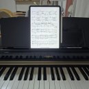 피아노치는즐거움피아노교습소 | 사실 나는 피아노가 치고 싶었나 봐