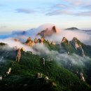 설악산 티스토리