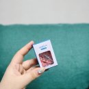 노아덴탈 이미지