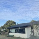 지동농장 | 1년만의 제주 - 너무 짧은 2박 3일