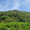 낙남정맥 7구간, 한치-오곡재(21.5.9) 이미지