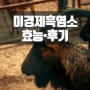 대가흑염소 이미지