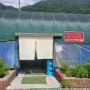 [담양]참숯불에꾸운닭앤꿈장어, 계곡물에 발 담그고 먹는 숯불 닭구이