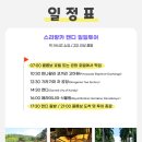 캔디투어