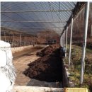 순영목장 이미지