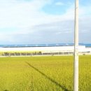 문성축사 이미지