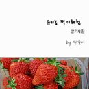 다혜농장 이미지