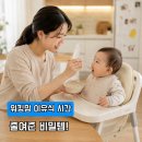 유기농야채 | “이유식 어려워하지마세요” 베리네이처 유기농 야채큐브 시판 재료47종 추천후기
