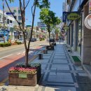 청초호유원지(남측) 이미지