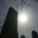 (후기) 3월 17일 ＜일요빡센도보＞" 여의나루역-63빌딩-광주암-가양대교-마포대교" 이미지