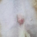 태안동물병원 이미지