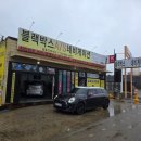 셀스타