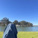 (주)대디팜 | [6월 3주차] 다시 또 무직자의 행보/슈가대디 만난 썰/10개월 만의 번아웃