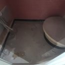 악쓰는하마 이미지