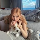 핑크강아지 이미지