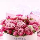 코로나에 미세먼지까지? 짜증나는하루지만~~~~~~