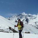 히말라야 이미지