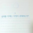 간결한 대답