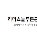 늘푸른부동산공인중개사사무소 네이버블로그
