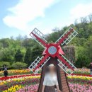 분산식물원 | 부천튤립명소 부천자연생태공원 다녀온 후기(식물원, 자연생태박물관까지)